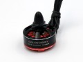 Gemfan 2306 2200kv CW.jpg