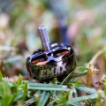 MAX ECO 2306-1900KV Motor 5.jpg